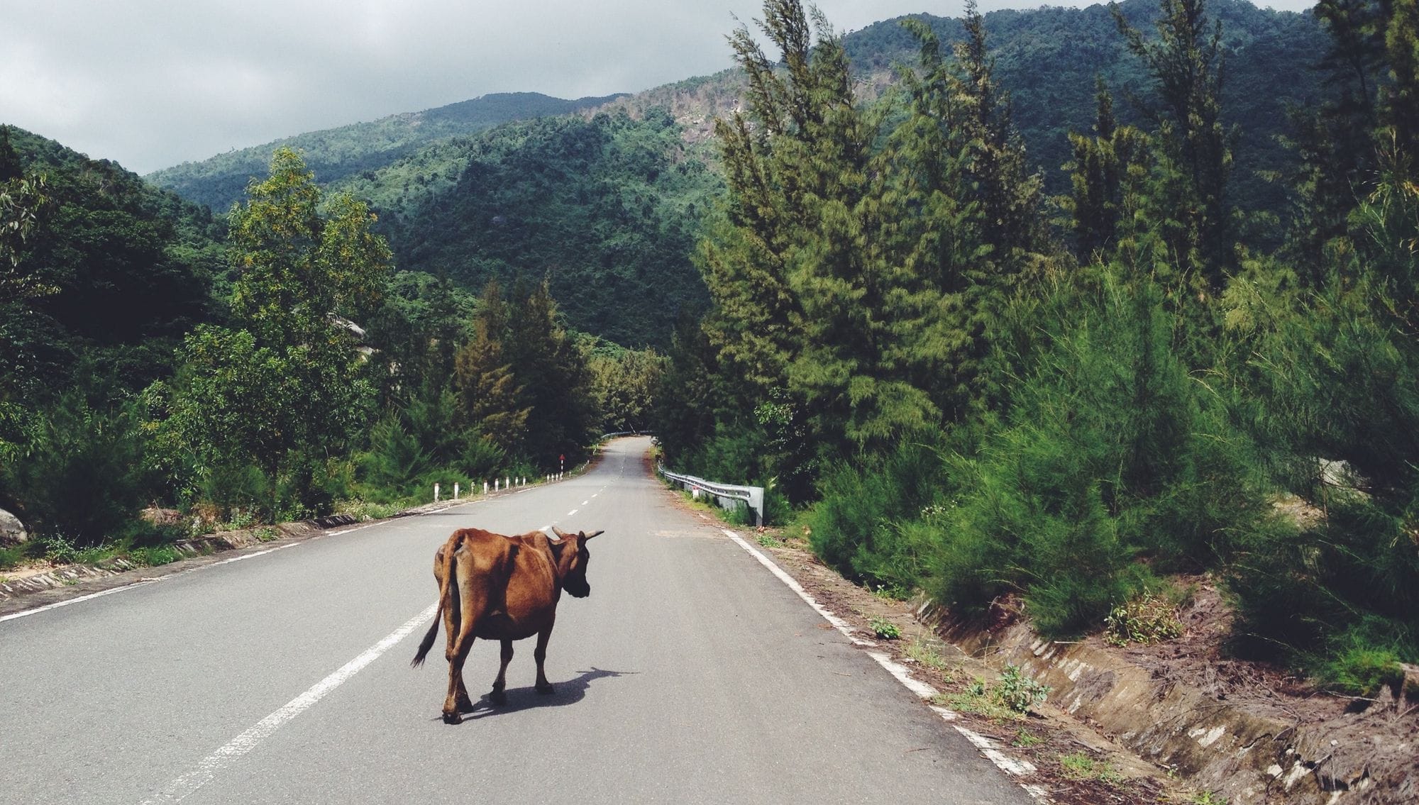 The need to transform how we eat